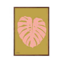 Load image into Gallery viewer, Monstera Pistachio
